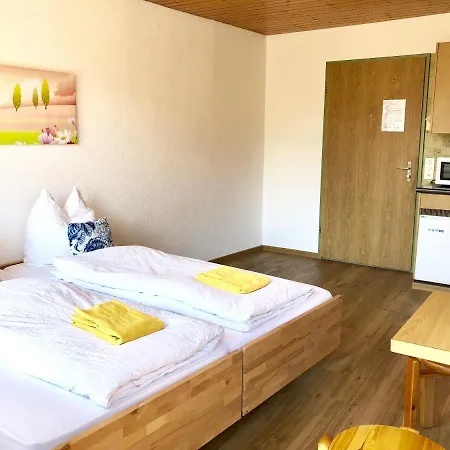 Apartment Beauty Scenery *